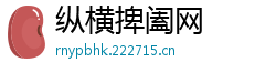 纵横捭阖网